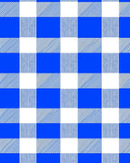 Bold Blue White Buffalo Check Print Rug