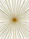 Radiating Sunburst Pattern Rug
