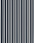 Bold Stripe Pattern with High Contrast Rug