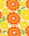 Citrus Slice Bright Fruit Pattern Rug