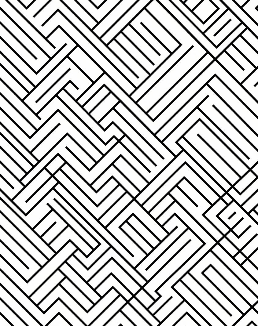 Modern Black White Geometric Lines Rug