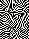 Bold Black White Zebra Stripe Pattern Rug
