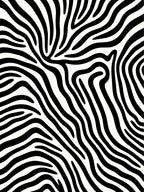Bold Black White Zebra Stripe Pattern Rug