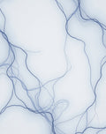 Subtle Blue Abstract Organic Lines Rug