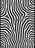 Bold Black White Stripe Pattern Rug