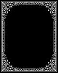 Ornate White Scroll Border Design Rug