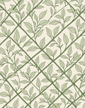 Nature Inspired Vine Lattice Design Rug
