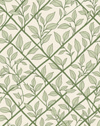 Nature Inspired Vine Lattice Design Rug