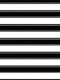 Classic Black White Striped Pattern Rug