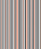 Striped Red White Black Pattern Rug