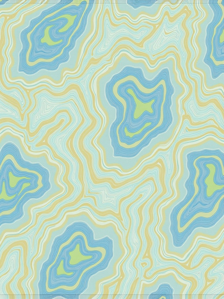 Abstract Blue Yellow Green Topography Lines Rug