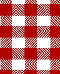 Red and White Bold Checked Pattern Rug