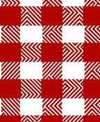Red and White Bold Checked Pattern Rug