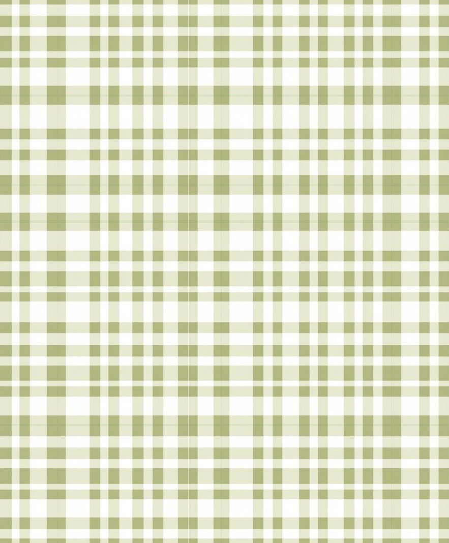 Neutral Simple Plaid Pattern Rug