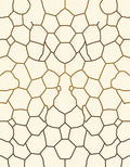 Organic Geometric Pattern Rug