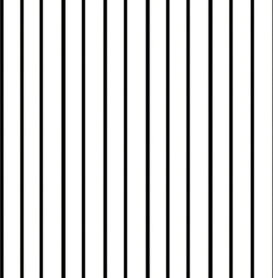 Classic Black White Stripe Pattern Rug