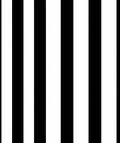 Bold Black White Stripe Pattern Rug