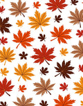 Autumn Maple Leaf Scatter Design Rug