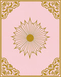 Pink Sunburst Floral Golden Accents Rug