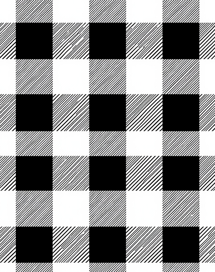 Black White Bold Checkered Design Rug