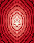 Concentric Red Agate Slices Pattern Rug