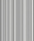 Bold Contemporary Vertical Stripe Pattern Rug