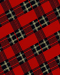 Red Black Classic Plaid Pattern Rug