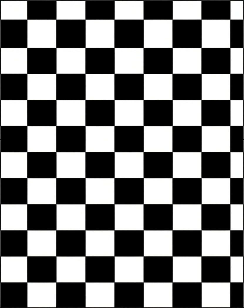 Bold Black White Checkered Pattern Rug