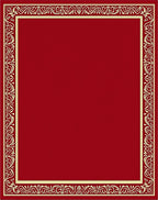 Ornate Red And Gold Frame Design Rug