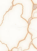 Abstract Veined Parchment Pattern Rug