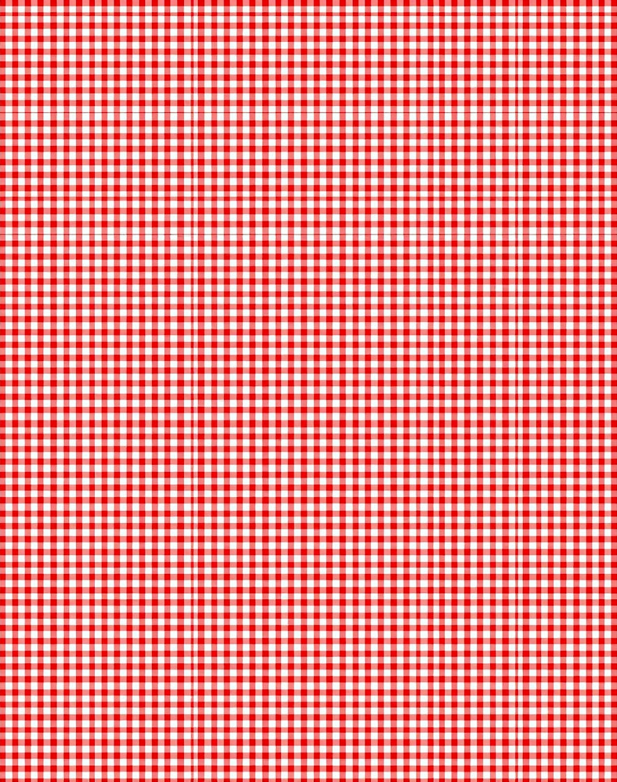 Classic Red White Gingham Check Rug