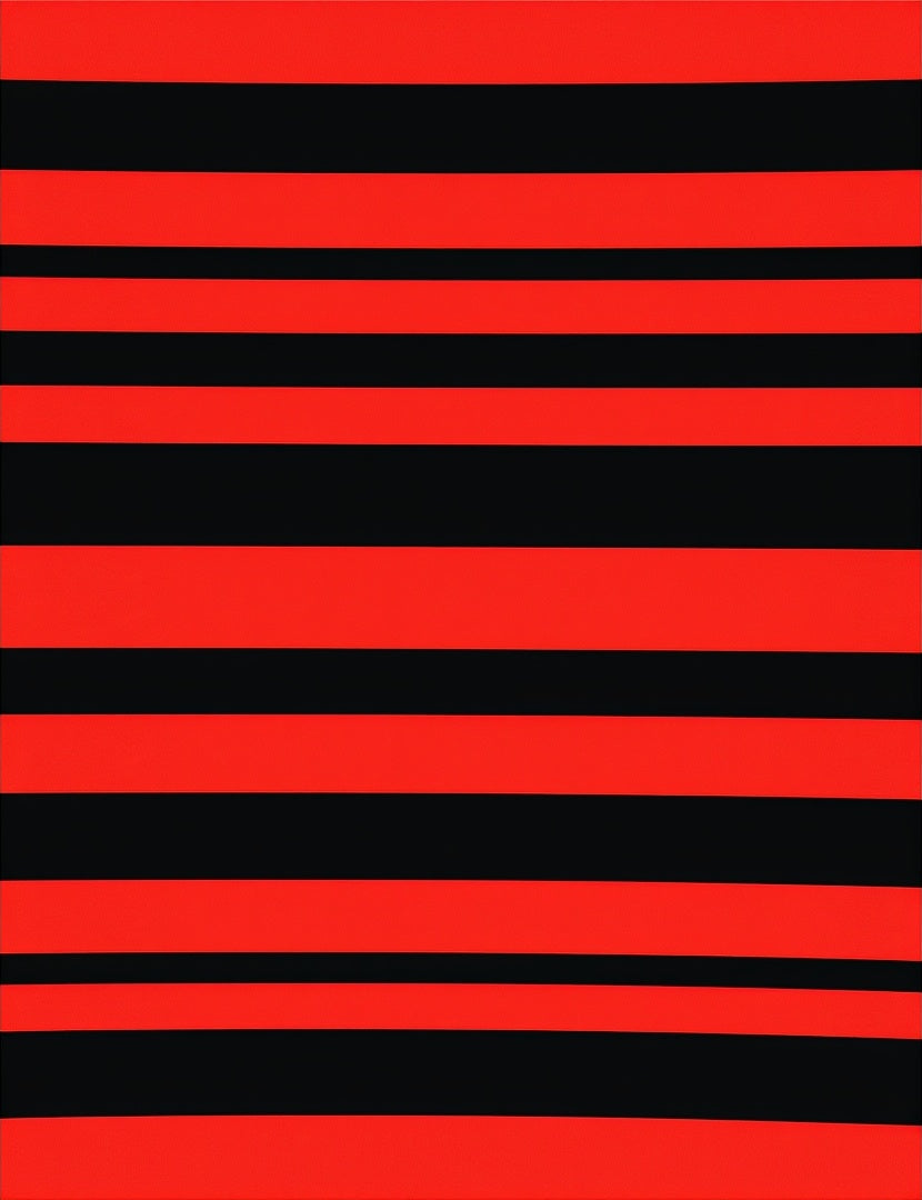 Bold Red Black Stripe Pattern Rug