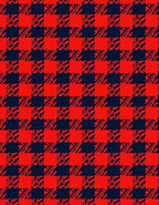 Bold Red And Navy Checkered Design Rug