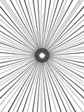 Starburst Black and White Lines Rug