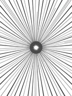Starburst Black and White Lines Rug