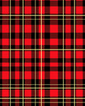 Classic Red and Black Plaid Design Rug