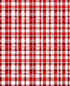 Classic Red White Plaid Pattern Rug