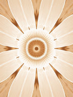 Radial Petal Geometric Pattern Rug