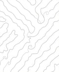 Abstract Organic Swirl Pattern Rug