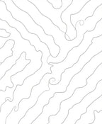 Abstract Organic Swirl Pattern Rug