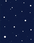 Night Sky Dot Abstract Rug