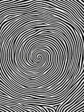 Black White Abstract Swirl Rug