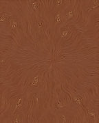 Brown Abstract Wood Grain Pattern Rug