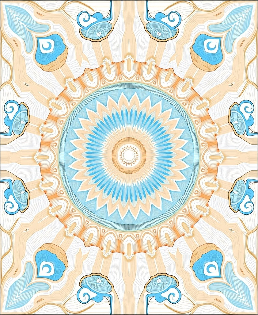 Radial Blue Orange Sunburst Pattern Rug