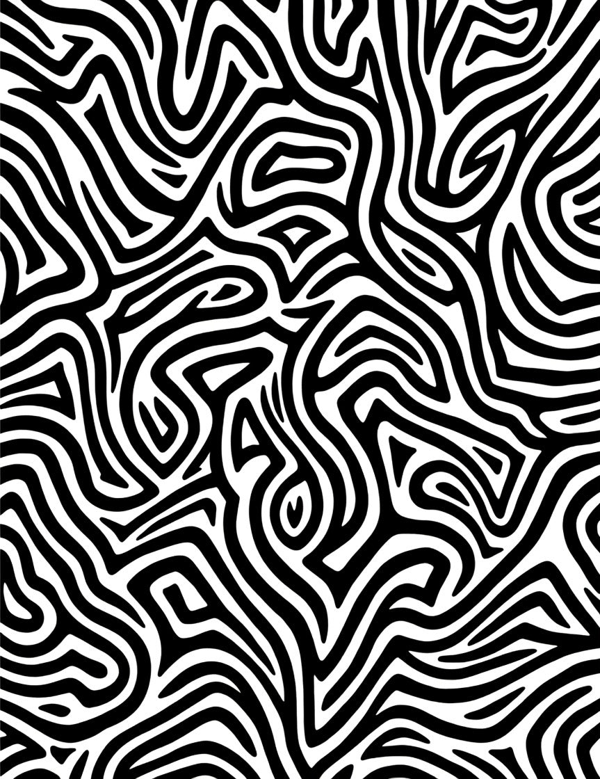 Bold Abstract Zebra Stripe Pattern Rug
