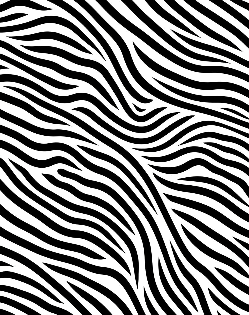 Bold Black White Stripe Pattern Rug