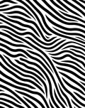 Bold Black White Stripe Pattern Rug