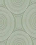 Modern Abstract Concentric Circles Rug