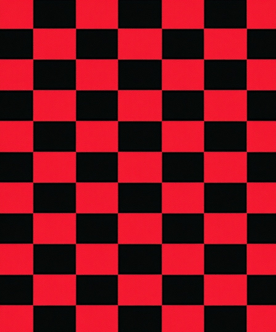 Bold Red Black Checkered Pattern Rug
