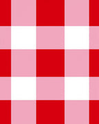 Classic Red White Checked Pattern Rug